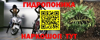 ГАЛЛЮЦИНОГЕННЫЕ ГРИБЫ Бузулук