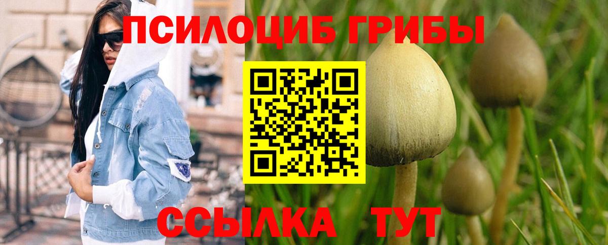 Галлюциногенные грибы Cubensis Советская Гавань