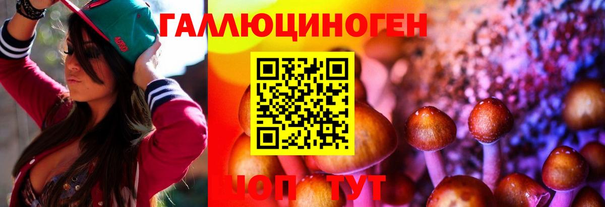 Псилоцибиновые грибы мицелий  Псилоцибиновые грибы мухоморы  Вход с VPN  Советская Гавань 